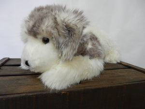 Chien Rivière des pyrennées