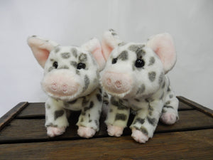 Cochons Pauline