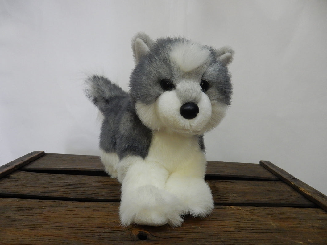 Chien Joli Husky