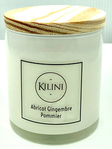 Bougie artisanale Abricot-Gingembre et Pommier