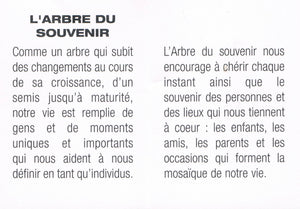 Boule de verre 2", Souvenir